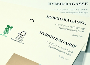 HYBRID BAGASSE