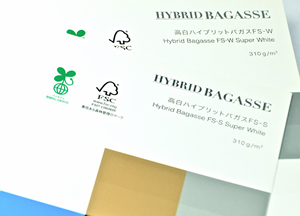 HYBRID BAGASSE