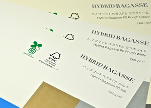 HYBRID BAGASSE